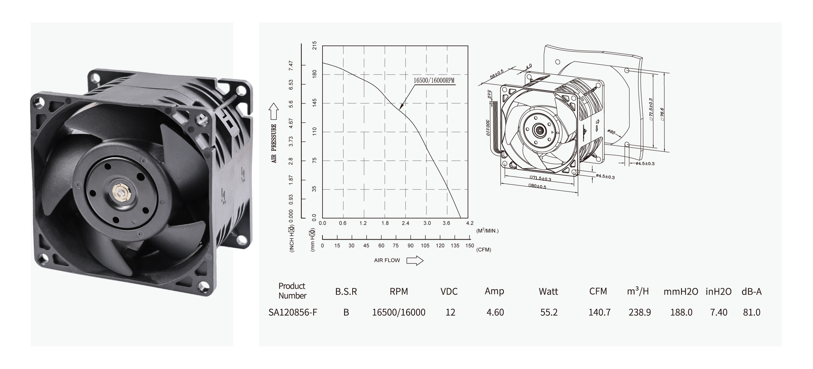 独立站_画板 1 副本 8.png